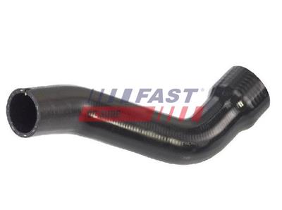 FAST FT61690 EAN: 5901797056810.