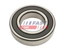 FAST FT63010
