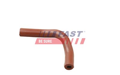 FAST FT63808 EAN: 5904157847660.