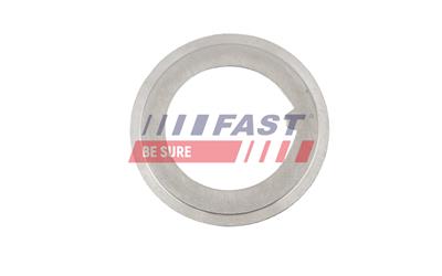 FAST FT66308 EAN: 5904157872167.