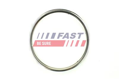 FAST FT84813 EAN: 5901797033811.