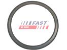 FAST FT84595