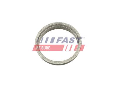 FAST FT84823 EAN: 5904157840401.