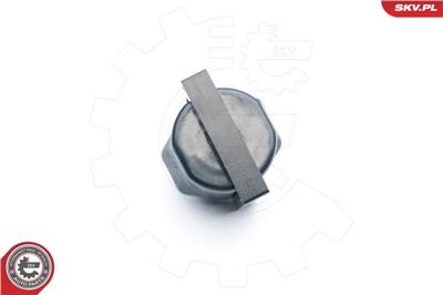 ESEN SKV 03SKV253 EAN: 5901947332504.