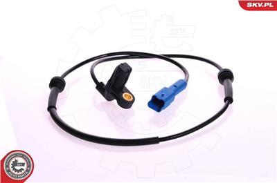 ESEN SKV 06SKV100 EAN: 5901947302903.