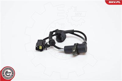 ESEN SKV 06SKV164 EAN: 5901947303177.