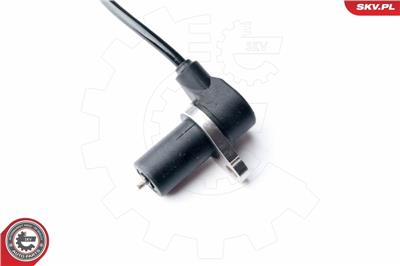 ESEN SKV 06SKV249 EAN: 5901947322642.