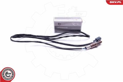 ESEN SKV 09SKV441