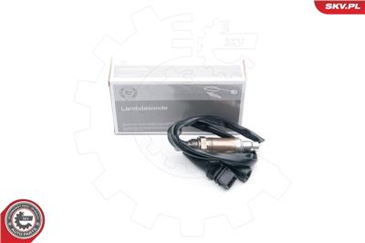 ESEN SKV 09SKV547