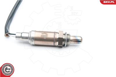 ESEN SKV 09SKV549