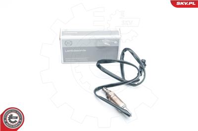 ESEN SKV 09SKV549