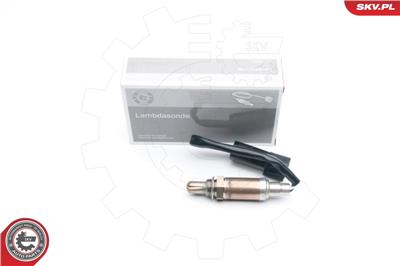 ESEN SKV 09SKV552