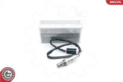ESEN SKV 09SKV568