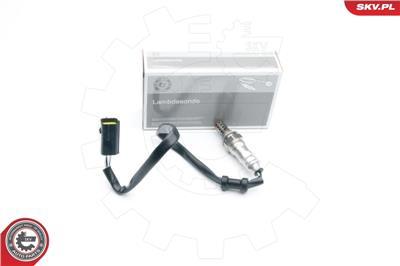 ESEN SKV 09SKV571