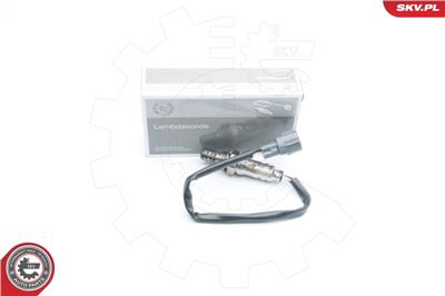 ESEN SKV 09SKV581
