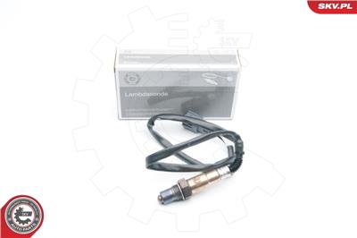 ESEN SKV 09SKV584