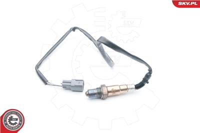 ESEN SKV 09SKV584