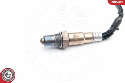 ESEN SKV 09SKV584