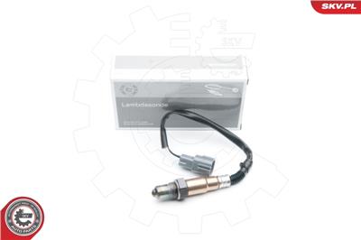 ESEN SKV 09SKV585