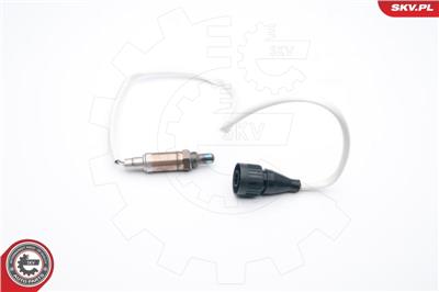 ESEN SKV 09SKV587