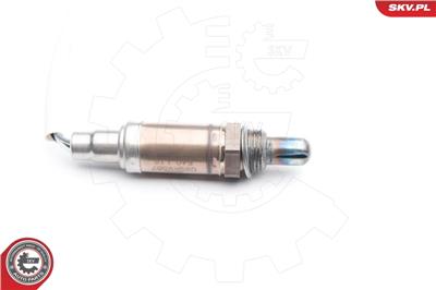ESEN SKV 09SKV587