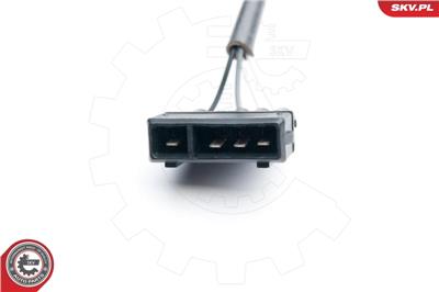 ESEN SKV 09SKV589
