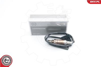 ESEN SKV 09SKV589