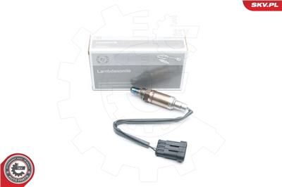 ESEN SKV 09SKV595