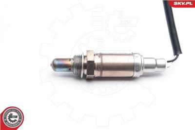 ESEN SKV 09SKV605