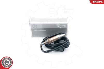 ESEN SKV 09SKV613