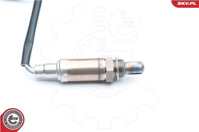ESEN SKV 09SKV613