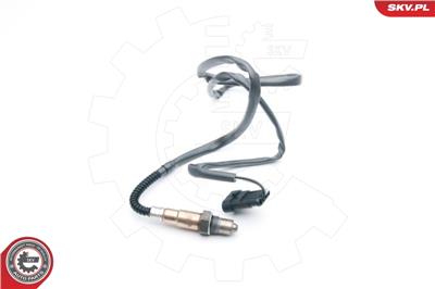 ESEN SKV 09SKV617