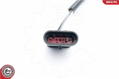 ESEN SKV 09SKV617