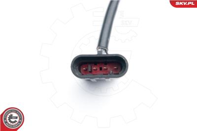ESEN SKV 09SKV618