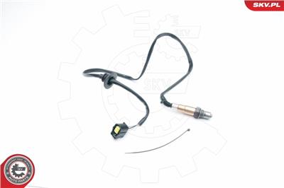 ESEN SKV 09SKV621