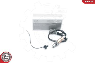 ESEN SKV 09SKV637