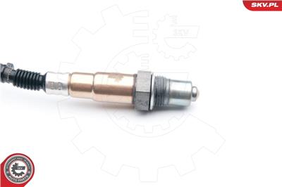 ESEN SKV 09SKV637