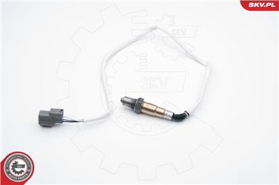 ESEN SKV 09SKV648