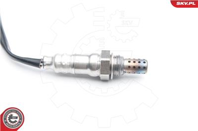 ESEN SKV 09SKV651