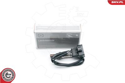 ESEN SKV 09SKV656