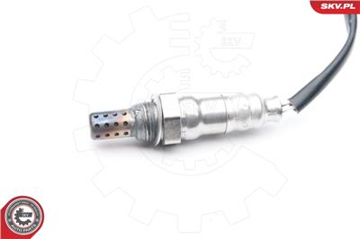 ESEN SKV 09SKV656