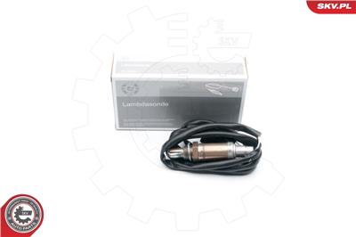 ESEN SKV 09SKV663