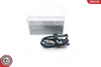 ESEN SKV 09SKV665