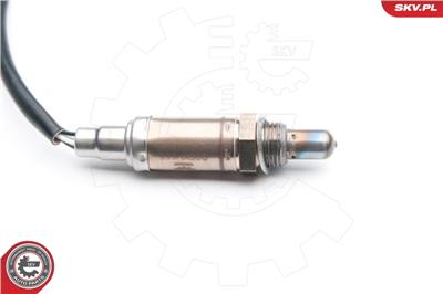 ESEN SKV 09SKV665