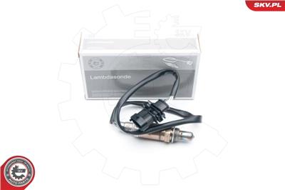 ESEN SKV 09SKV669