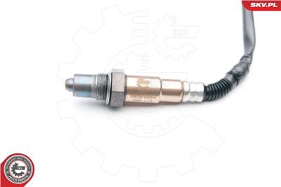ESEN SKV 09SKV684
