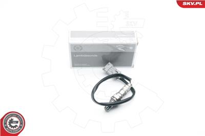 ESEN SKV 09SKV687