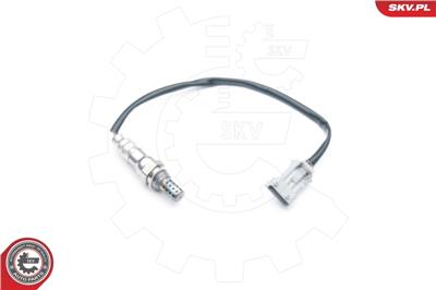 ESEN SKV 09SKV687