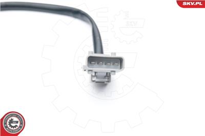 ESEN SKV 09SKV687