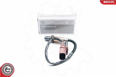 ESEN SKV 09SKV871